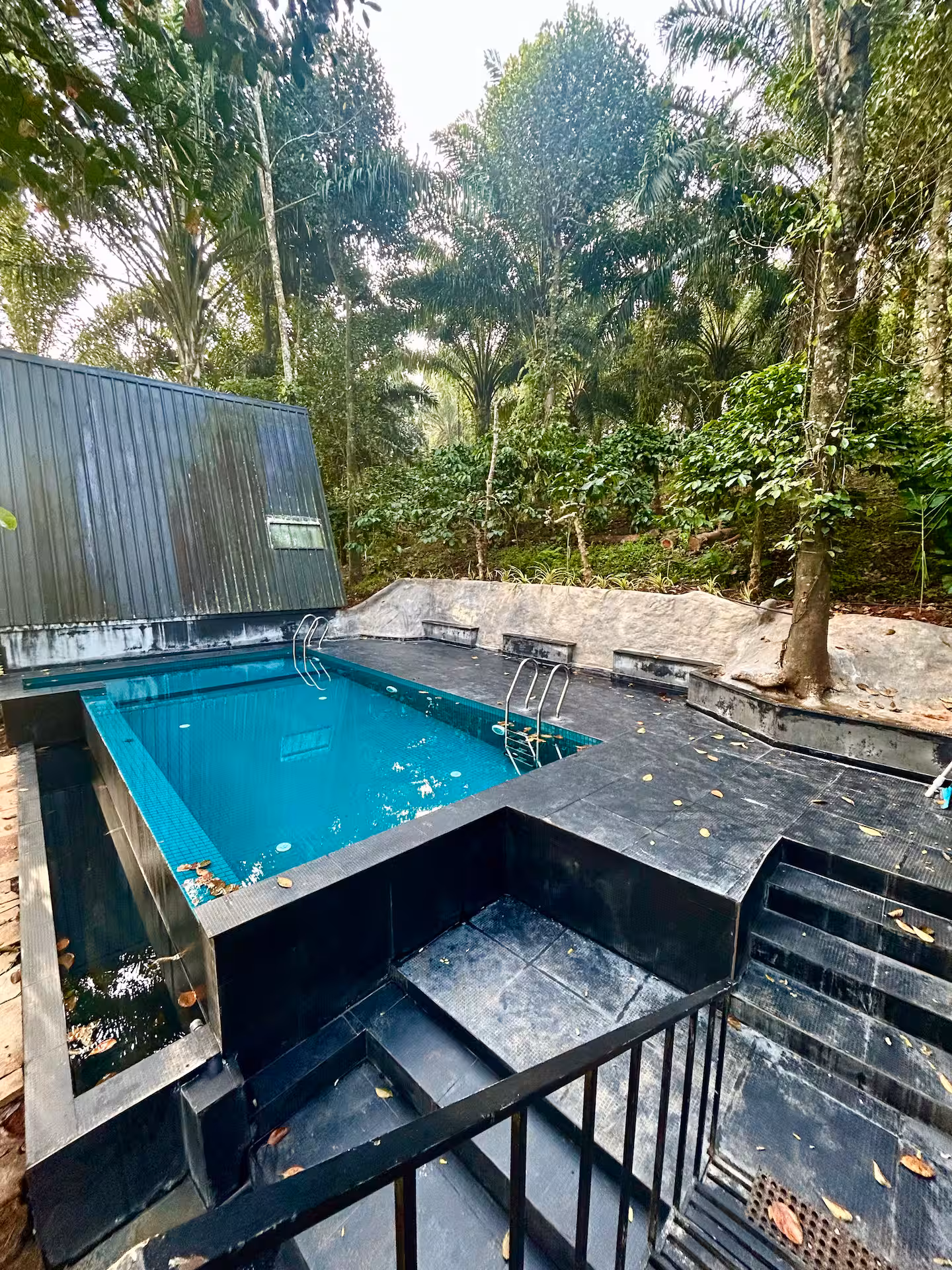 The outdoor pool shared by Blush and Lazyblue, under a canopy of trees